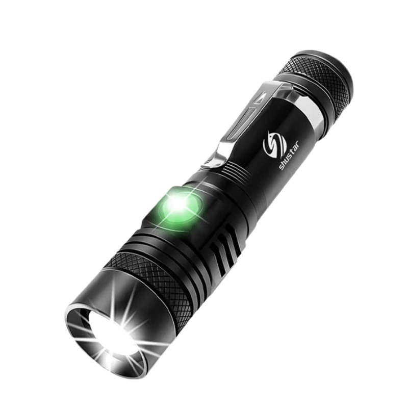 Lampe Torche Compacte 800 Lumens éclairage