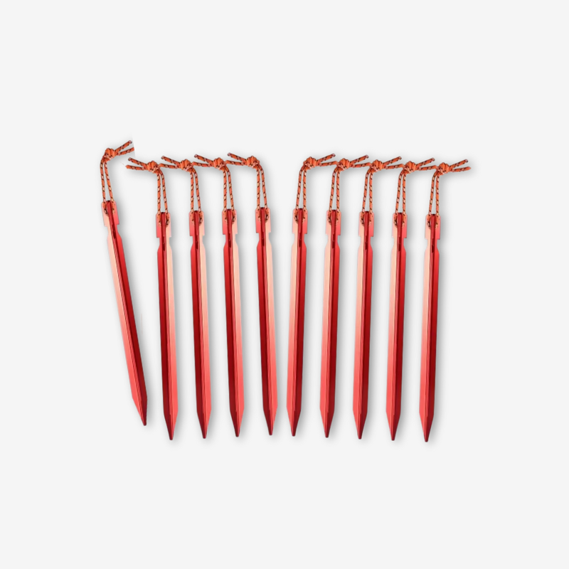 10 Piquets de Tente