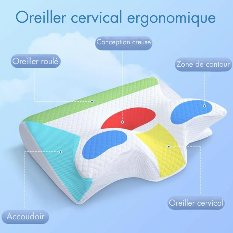 Oreiller Cervical Ergonomique zones